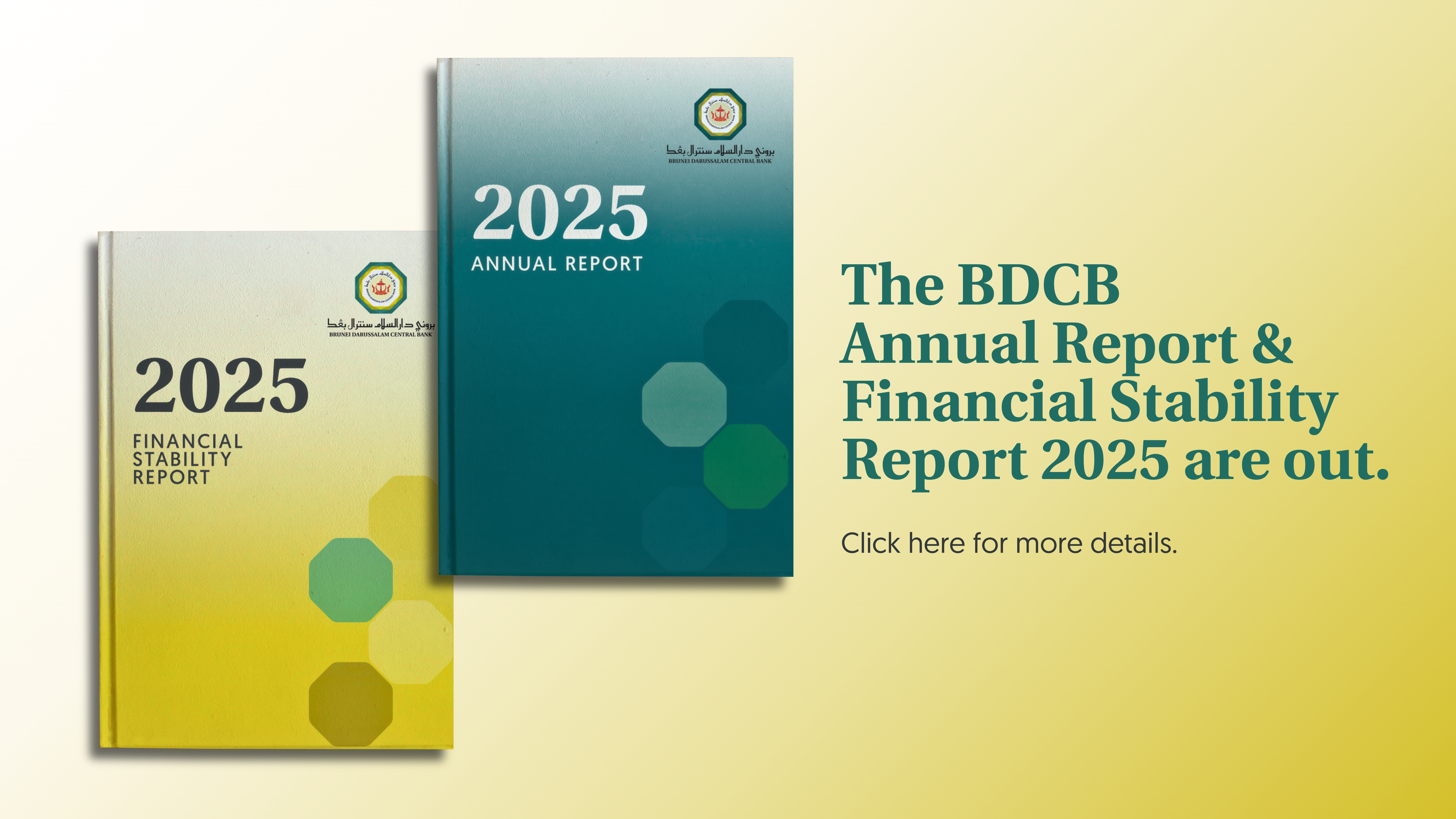 BDCB AR and FSR 2025